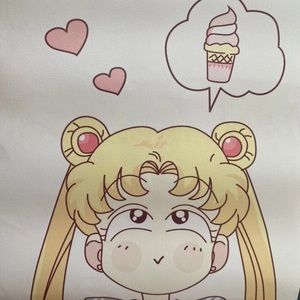 Sailor Moon canvas very good condition